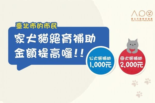 115年度臺北市家犬貓絕育補助，歡迎市民朋友受理申請。 主要圖片