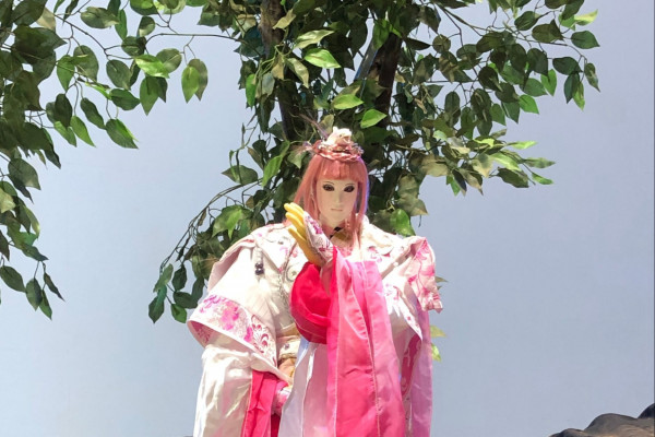 2026 TCAF-Community：The Tale of White Dolphinimage