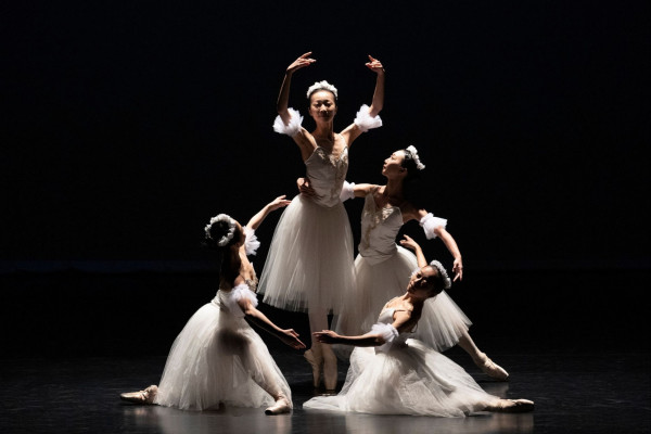 2026 TCAF-Community：The Pink Princess and Her Magic Ballet Shoesimage