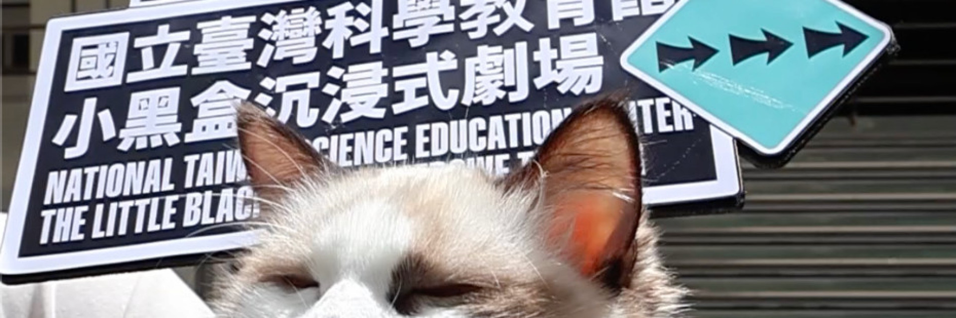 場地牌尋寶 主要圖片