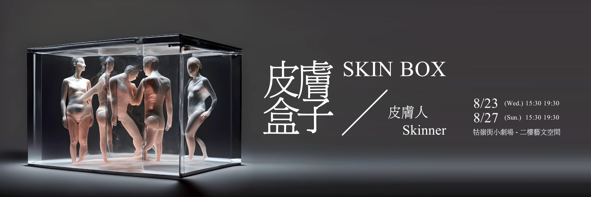 Skin Box 主要圖片