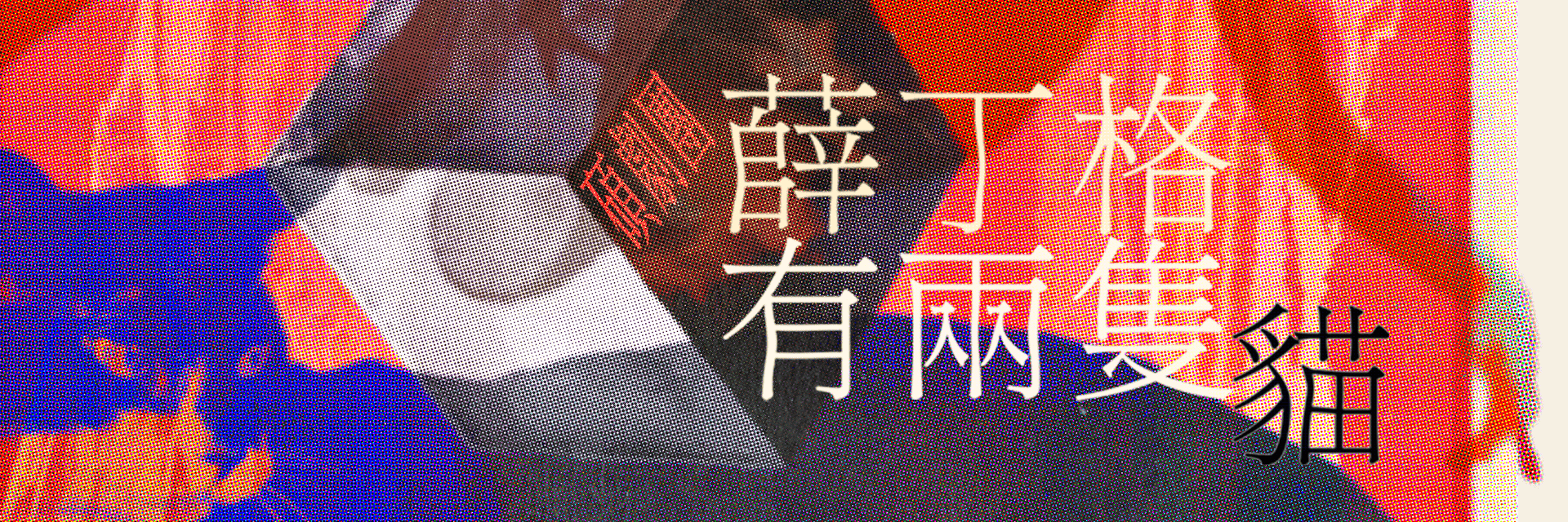 薛丁格有兩隻貓 主要圖片