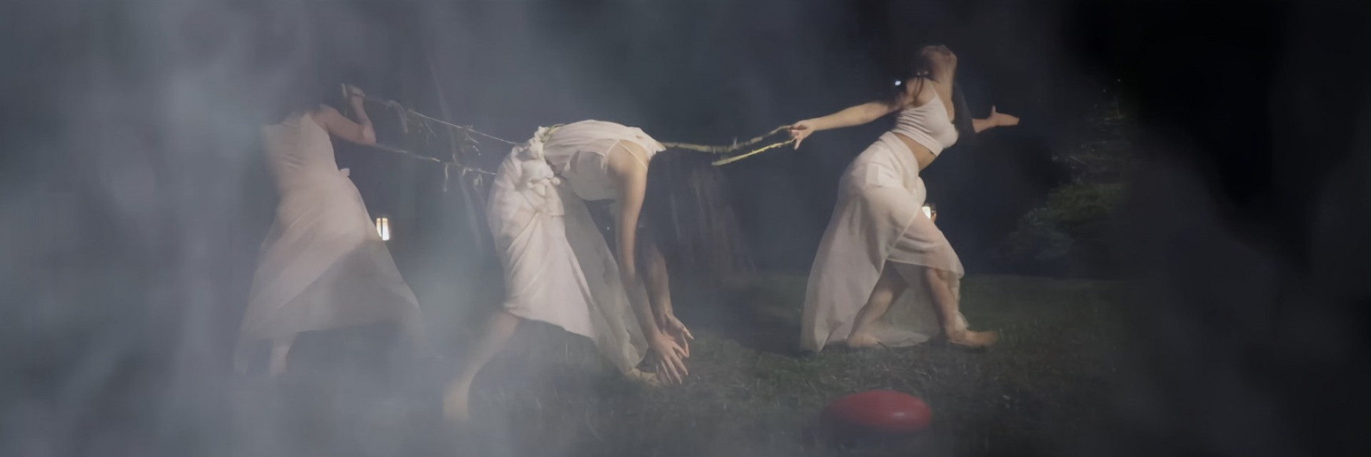 ONLINE STAGE: SPREADING EVOLUTION OF PLANTS: COTTON FIELDS 2.0（ONLINE EXPERIENCE ACTIVITY） 主要圖片