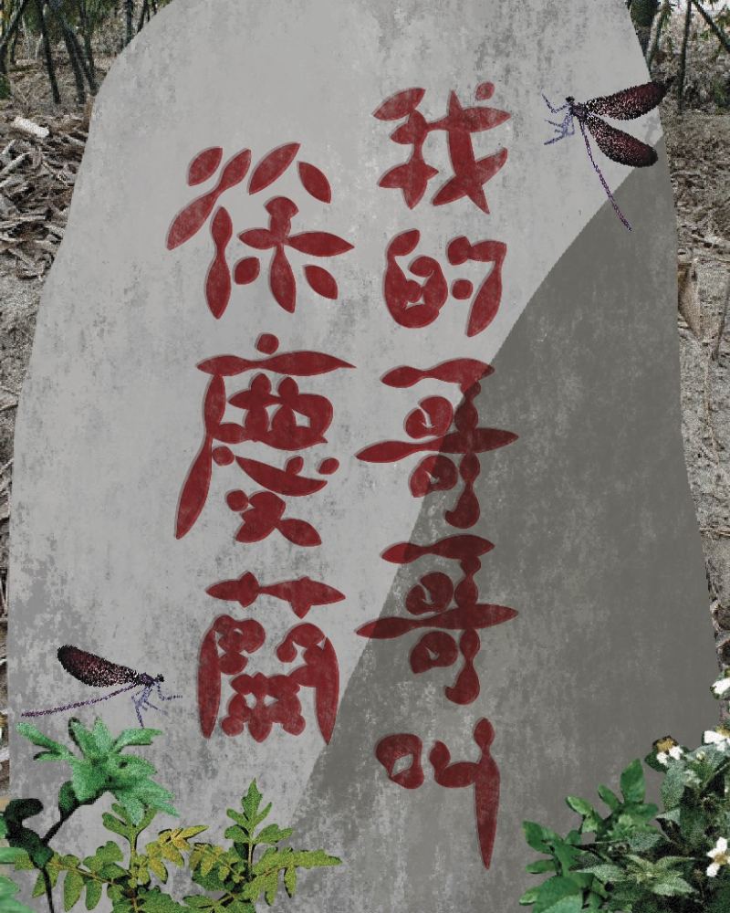 我的哥哥叫徐慶蘭的圖片