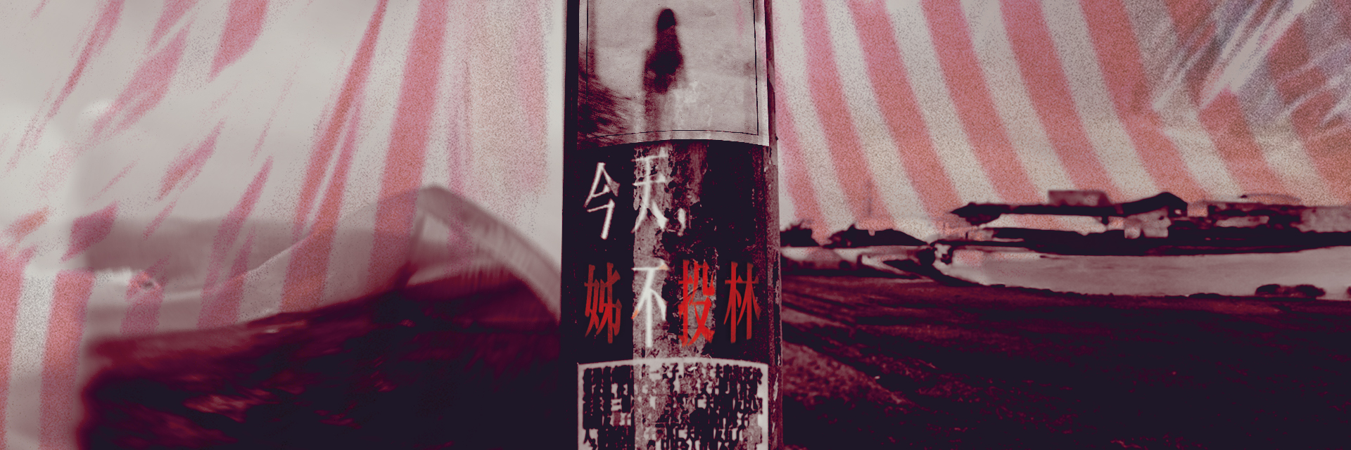 今天，姊不投林 主要圖片