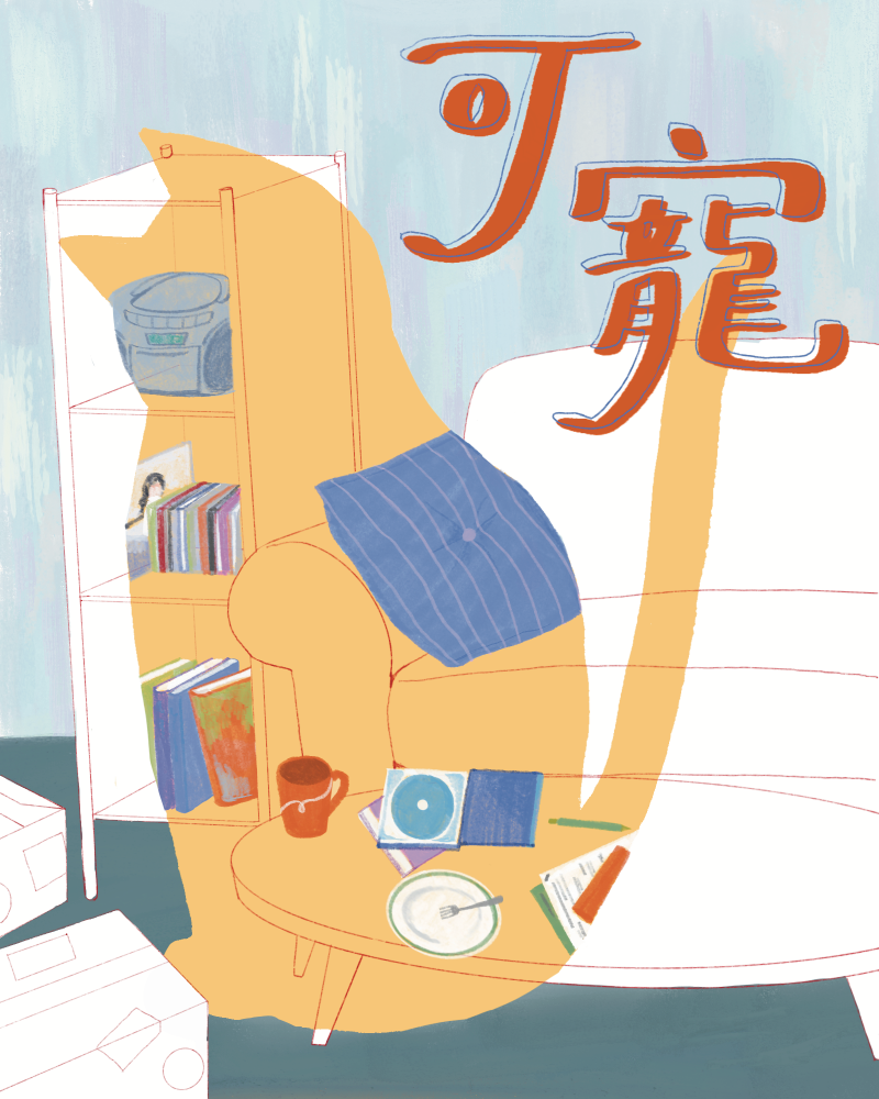 可寵的圖片