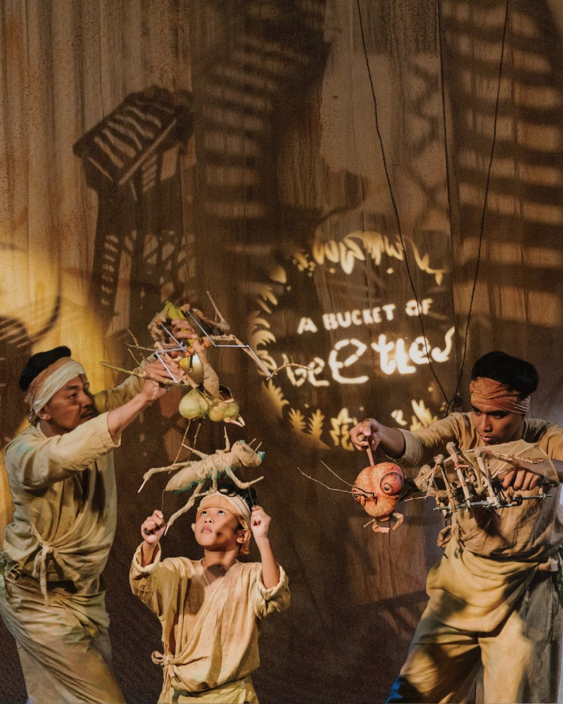 2026臺北兒童藝術節：《飛吧！我的甲蟲朋友》的節目主要圖片