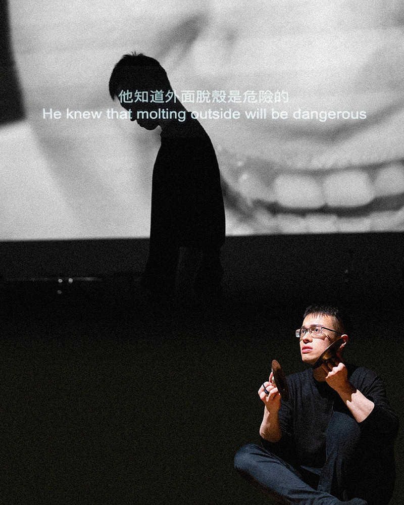 2026擊思藍盒子《房間裡的大象》