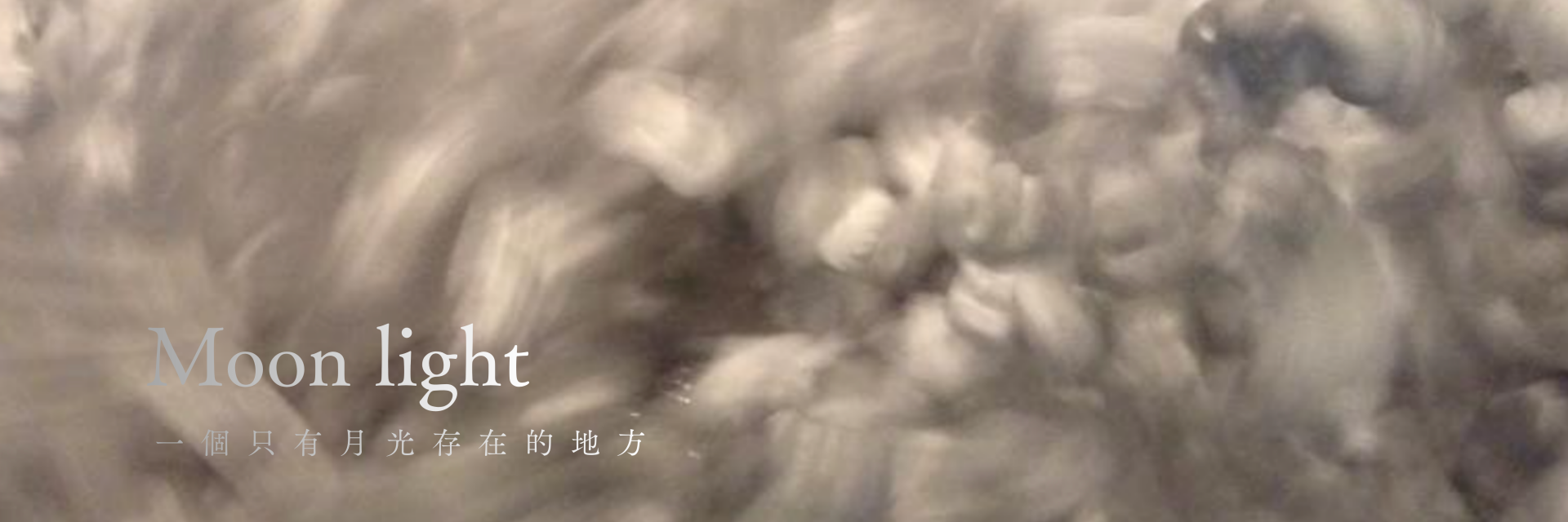 一個只有月光存在的地方 主要圖片