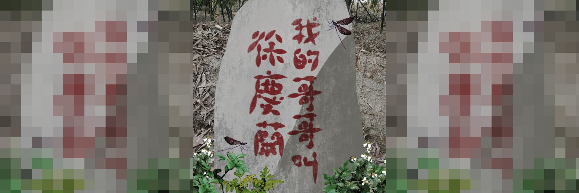 我的哥哥叫徐慶蘭 主要圖片
