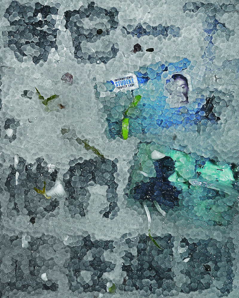 The Third Person                          (s)image