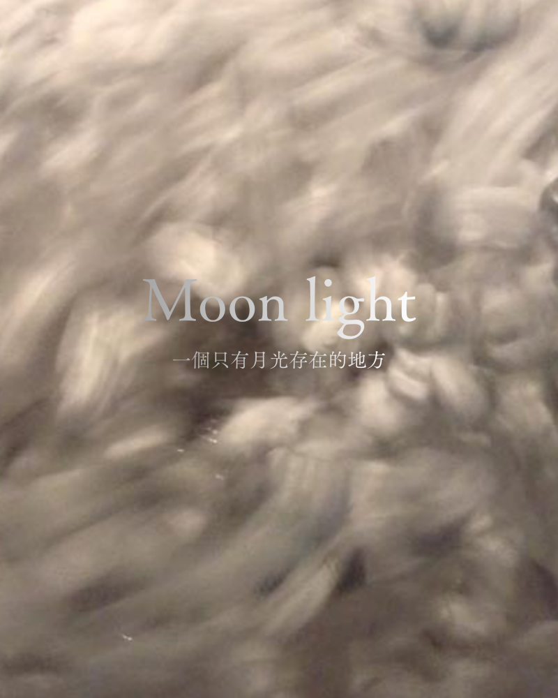 Moon lightimage