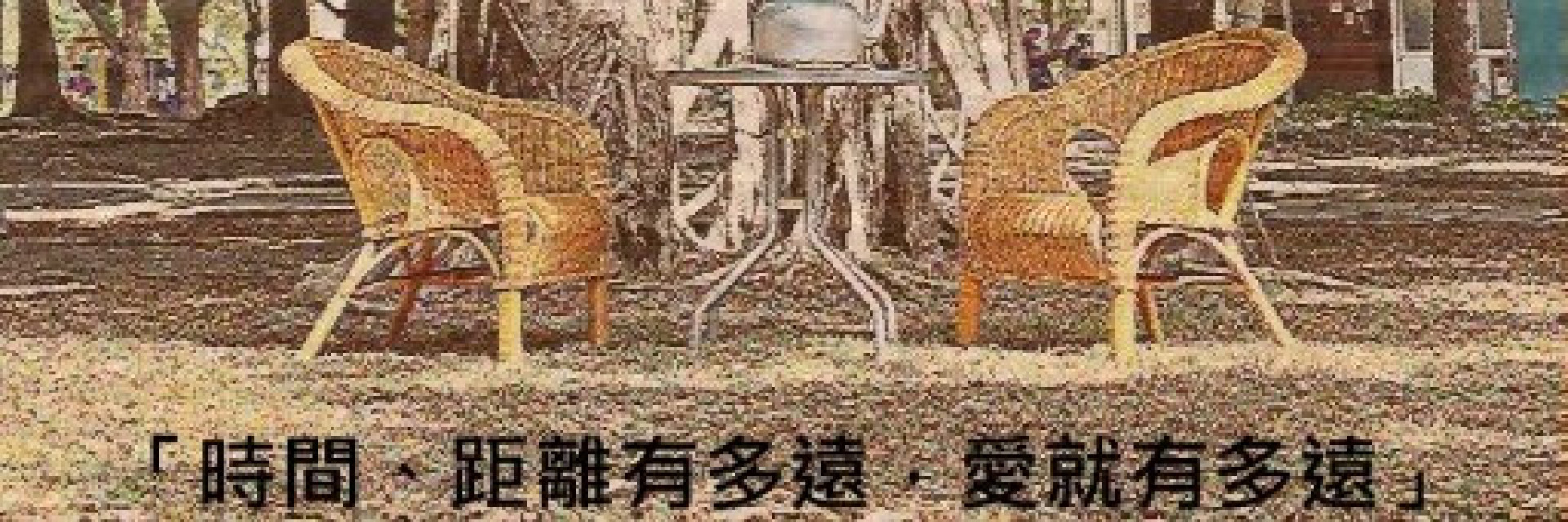 2022TFF:Four Seasons 主要圖片