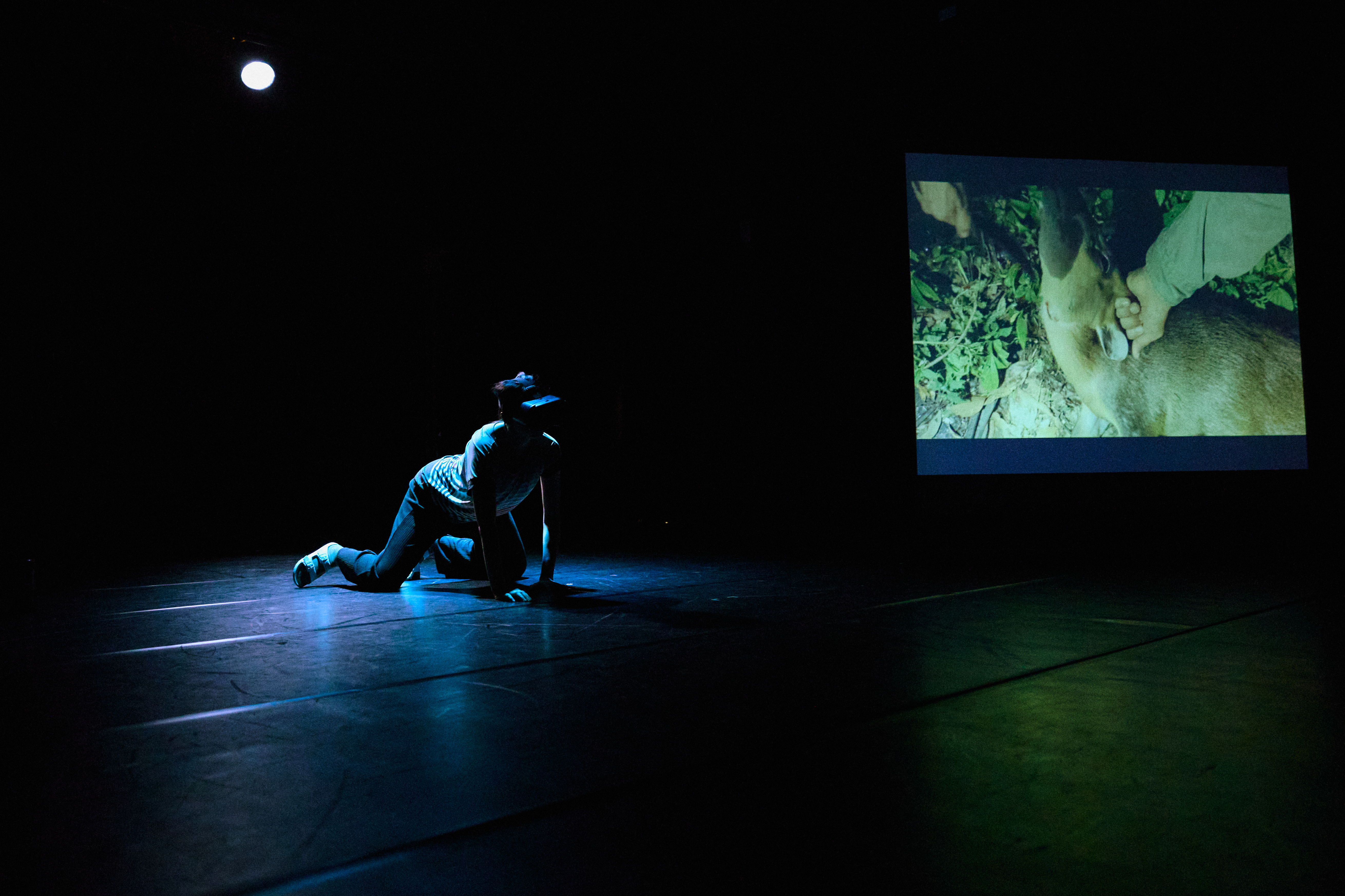 2025臺北藝穗節/2025 TFF_元熙/官網文章/01成熟創作者 圖片/4