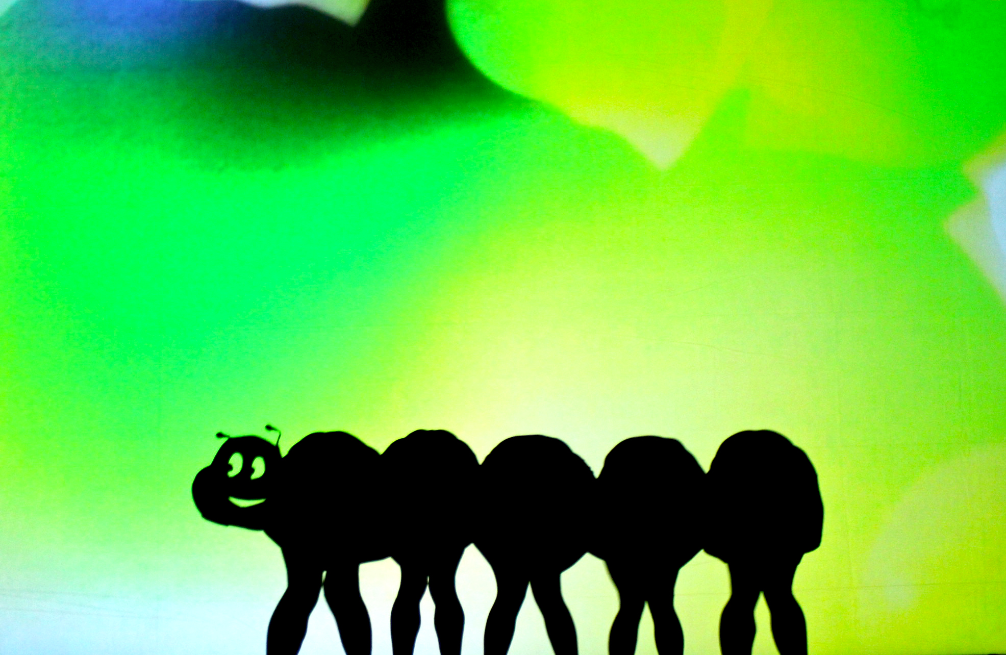 臺北兒童藝術節/2025臺北兒童藝術節/影子探險隊/fourseasons-caterpillar