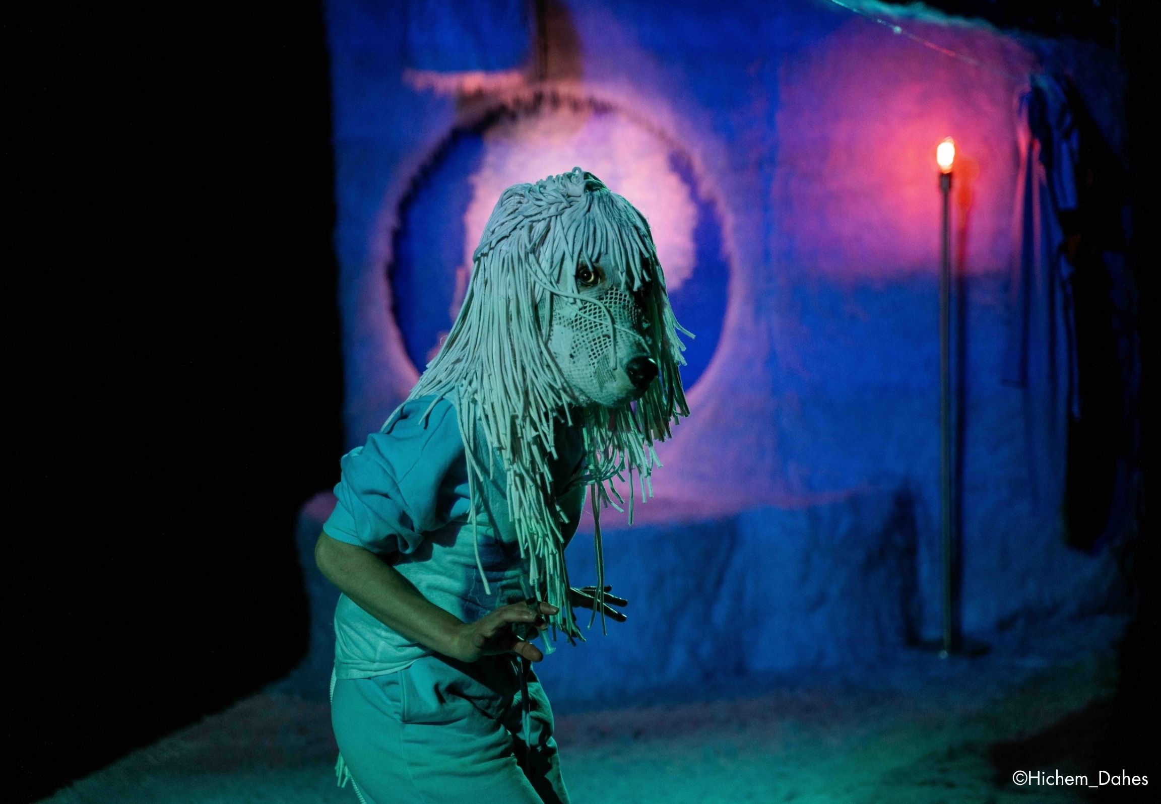 臺北兒童藝術節/2026臺北兒童藝術節/焦點節目/閃亮貴賓犬/1