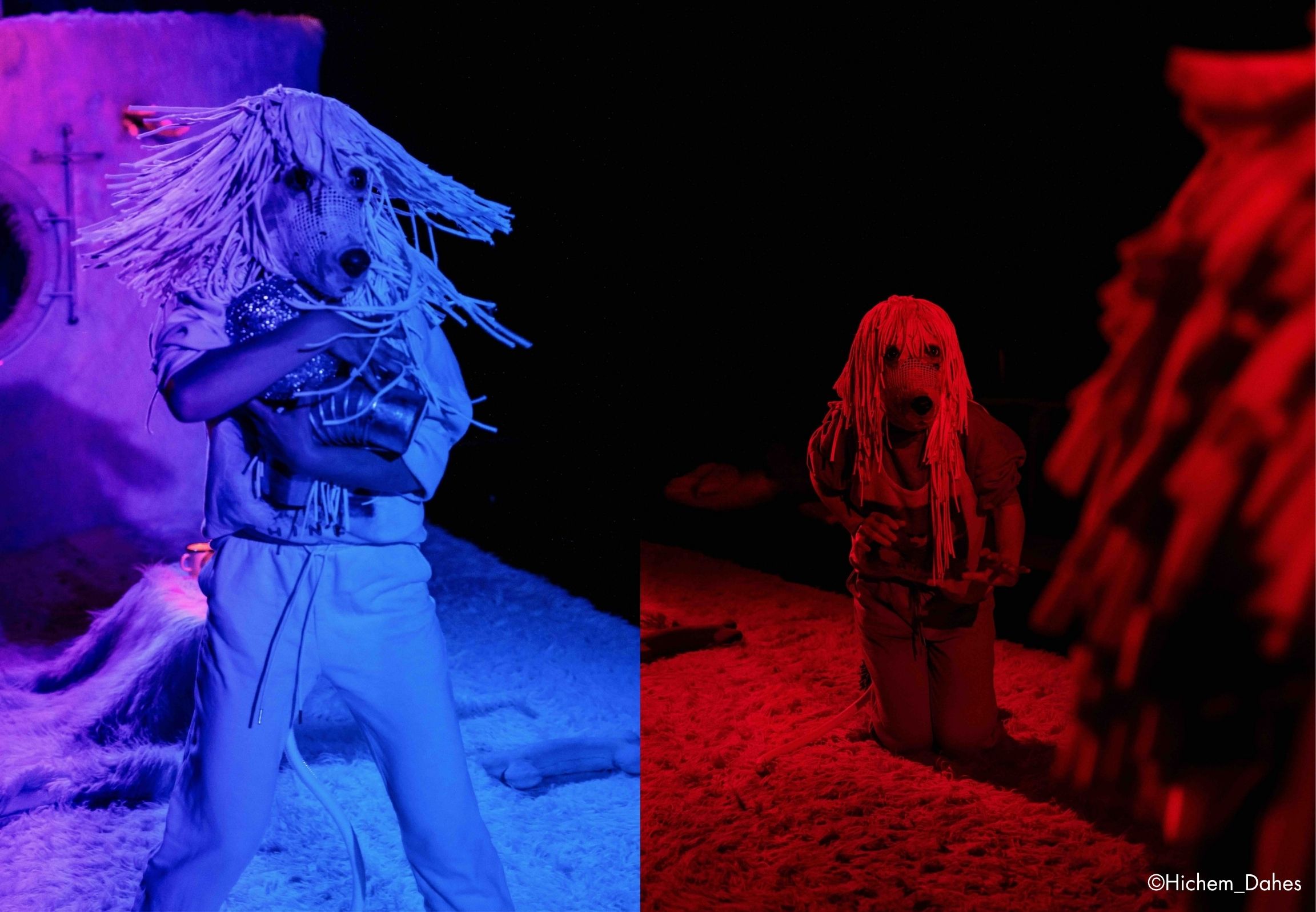 臺北兒童藝術節/2026臺北兒童藝術節/焦點節目/閃亮貴賓犬/5